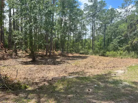 7225 Willoughby Dr, Webster, FL 33597 photo 1