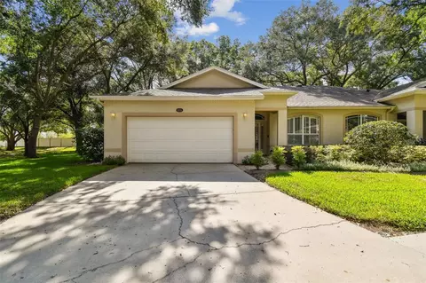 8635 Alexandra Arbor Ln, Temple Terrace, FL 33637