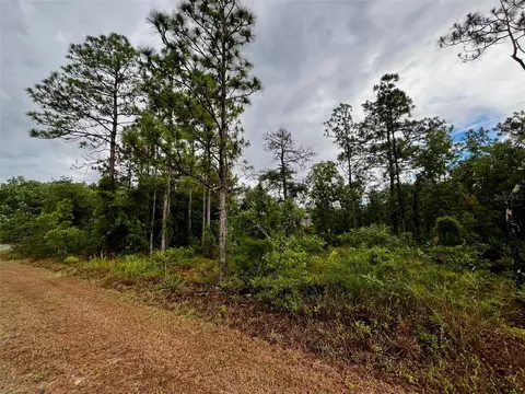 12299 Ipswich Sparrow Rd, Weeki Wachee, FL 34614