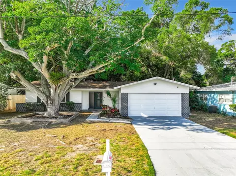 1101 Idlewild Dr S, Dunedin, FL 34698