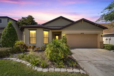 30838 Pumpkin Ridge Dr, Wesley Chapel, FL 33543