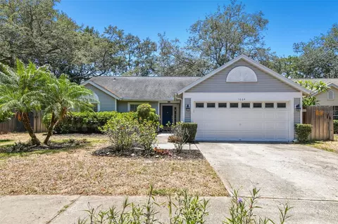 1664 Countrywood St, Tarpon Springs, FL 34689