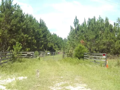 7751 SW 6th Pl, Chiefland, FL 32626