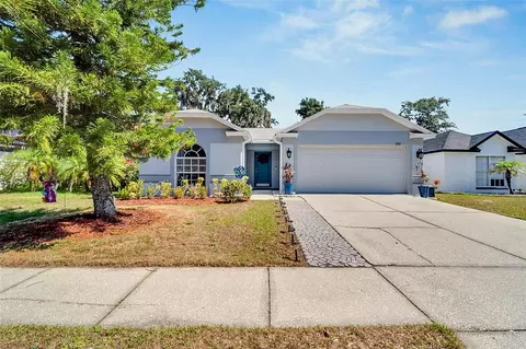 1202 Bloom Hill Ave, Valrico, FL 33596