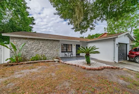 11309 Plumtree Ct, Riverview, FL 33569