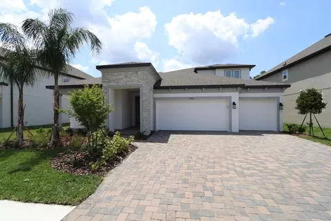 19312 Foggy Creek Ln, Tampa, FL 33647