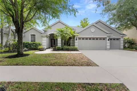 19239 Autumn Woods Ave, Tampa, FL 33647