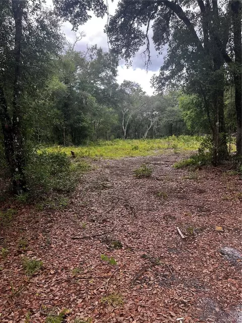 Citadel Drive, Webster, FL 33597
