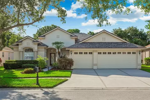 10234 Millport Dr, Tampa, FL 33626