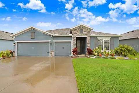 29390 Sedgeway Blvd, Wesley Chapel, FL 33544