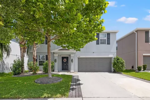 10230 Strawberry Tetra Dr, Riverview, FL 33578