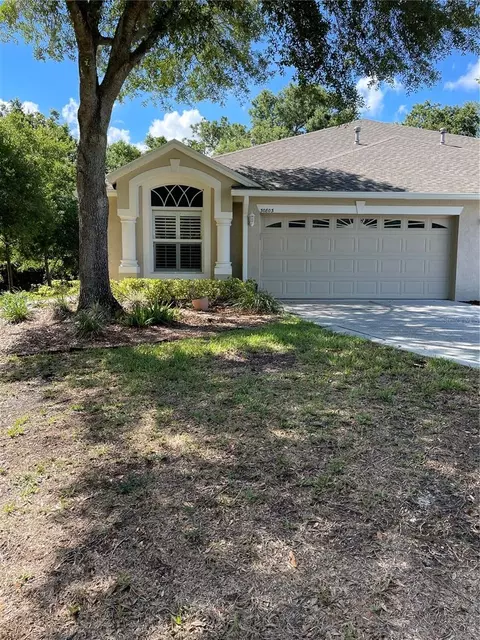30803 Prout Ct, Wesley Chapel, FL 33543