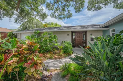 8404 Flagstone Dr, Tampa, FL 33615