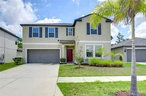 13407 Willow Bluestar Loop, Riverview, FL 33579
