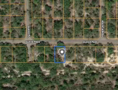 Tbd Guava Pass, Ocklawaha, FL 32179