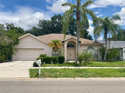 9603 Fox Hearst Rd, Tampa, FL 33647