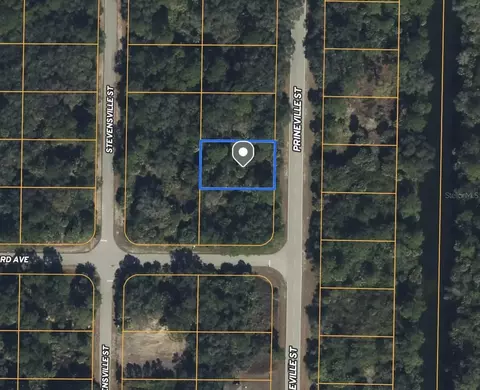 137 Prineville St, Port Charlotte, FL 33954