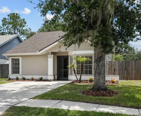 8611 Cottonway Ln, Tampa, FL 33635