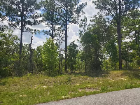 6562 N Clayton Ave, Dunnellon, FL 34434