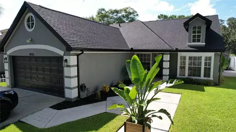 4426 Golf Club Ln, Tampa, FL 33624