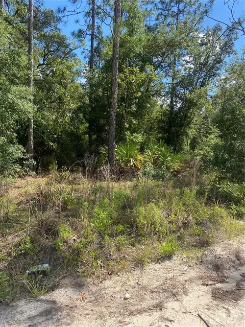 88 Th Ln, Bronson, FL 32621