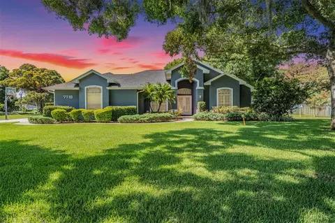 7710 Rosa Maria Ln, Odessa, FL 33556