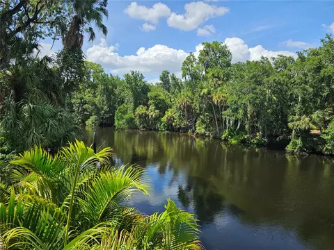 7248 Alafia Ridge Loop, Riverview, FL 33569