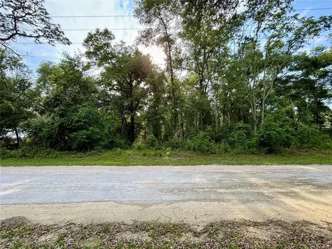 7351 Knoxville Dr, Webster, FL 33597