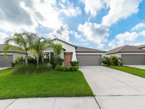 13644 Wild Ginger St, Riverview, FL 33579