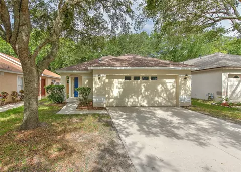 6619 Summer Haven Dr, Riverview, FL 33578