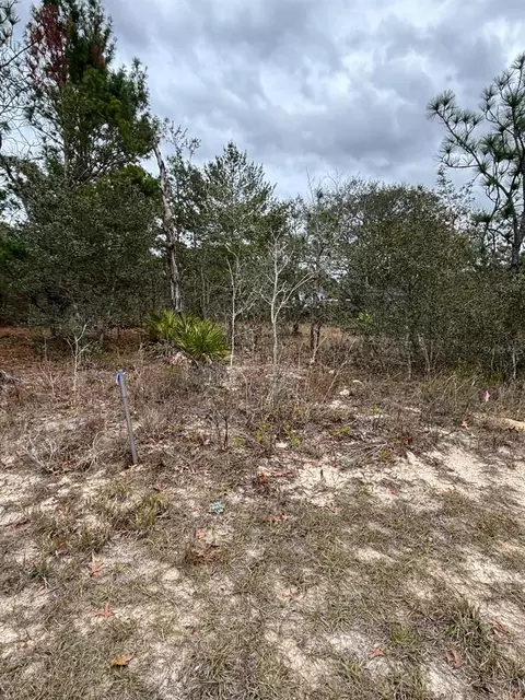 50 Lone Pine St, Homosassa, FL 34446