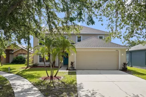 6208 Venezia Pl, Riverview, FL 33578