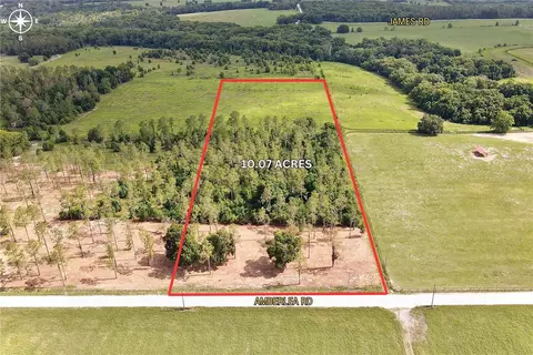 Amberlea Road, Dade City, FL 33523