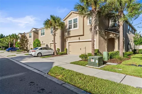 6115 Grand Sonata Ave, Lutz, FL 33558