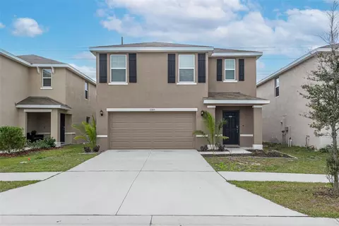 12185 Downy Birch Dr, Riverview, FL 33569