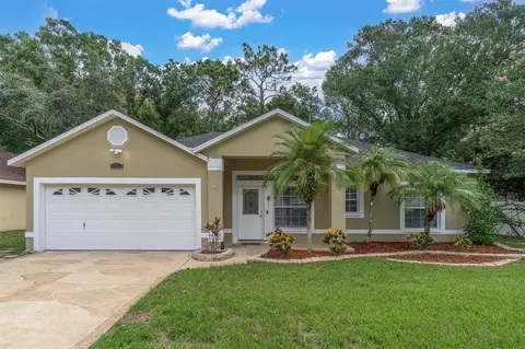 10249 Bellwood Ave, New Port Richey, FL 34654