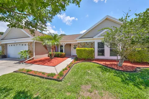 1310 Peachfield Dr, Valrico, FL 33596