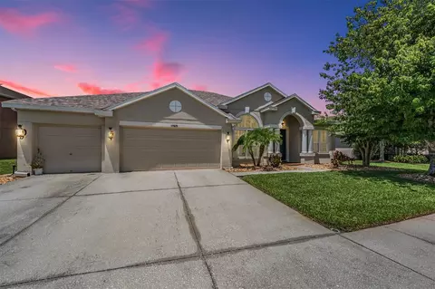 17825 Souter Ln, Land O Lakes, FL 34638