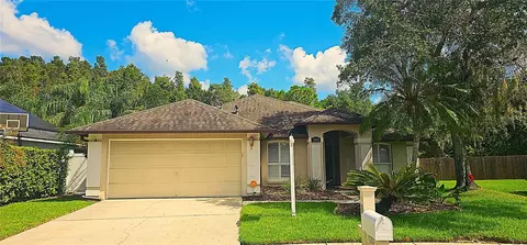 1202 Cord Grass Ct, Wesley Chapel, FL 33543