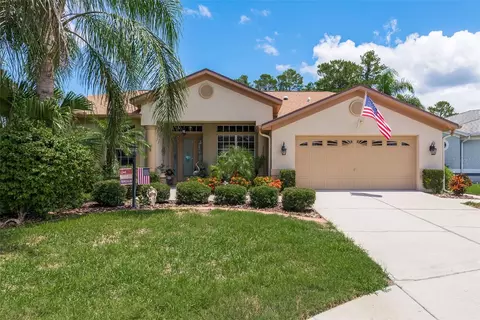 11439 Dorian Ct, New Port Richey, FL 34654