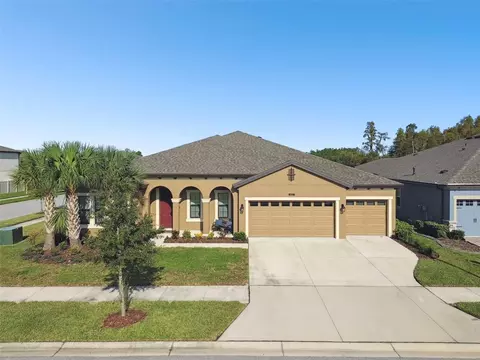 8800 Birchleaf Ct, Land O Lakes, FL 34637