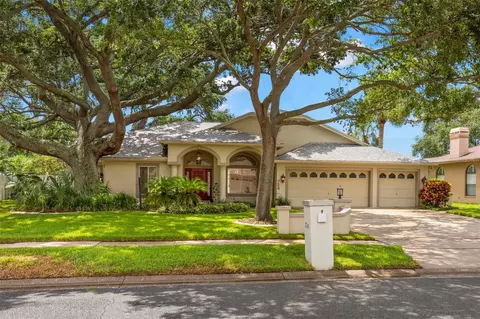 724 Litchfield Ln, Dunedin, FL 34698