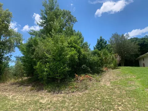 Covewood Drive, Spring Hill, FL 34609