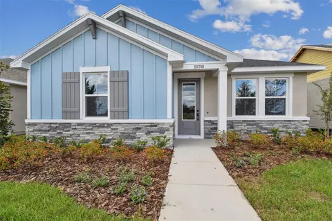 28748 Rambutan Dr, Wesley Chapel, FL 33543