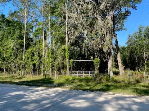 tbd SW Henderson Ter, Fort White, FL 32038
