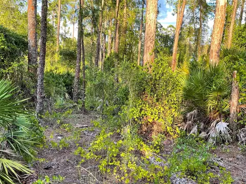 3402 E 23rd St, Alva, FL 33920 photo 1