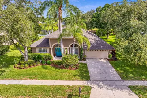 8410 Ridgebrook Cir, Odessa, FL 33556