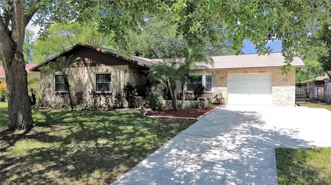 917 Chadsworth Ave, Seffner, FL 33584
