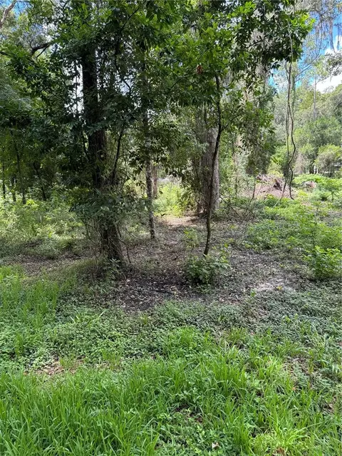 County Road 643, Bushnell, FL 33513