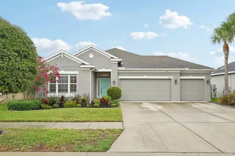 17735 Bright Wheat Dr, Lithia, FL 33547